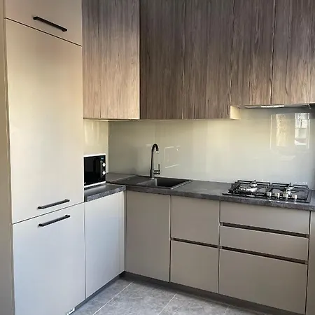 Lägenhet Stylish Lviv